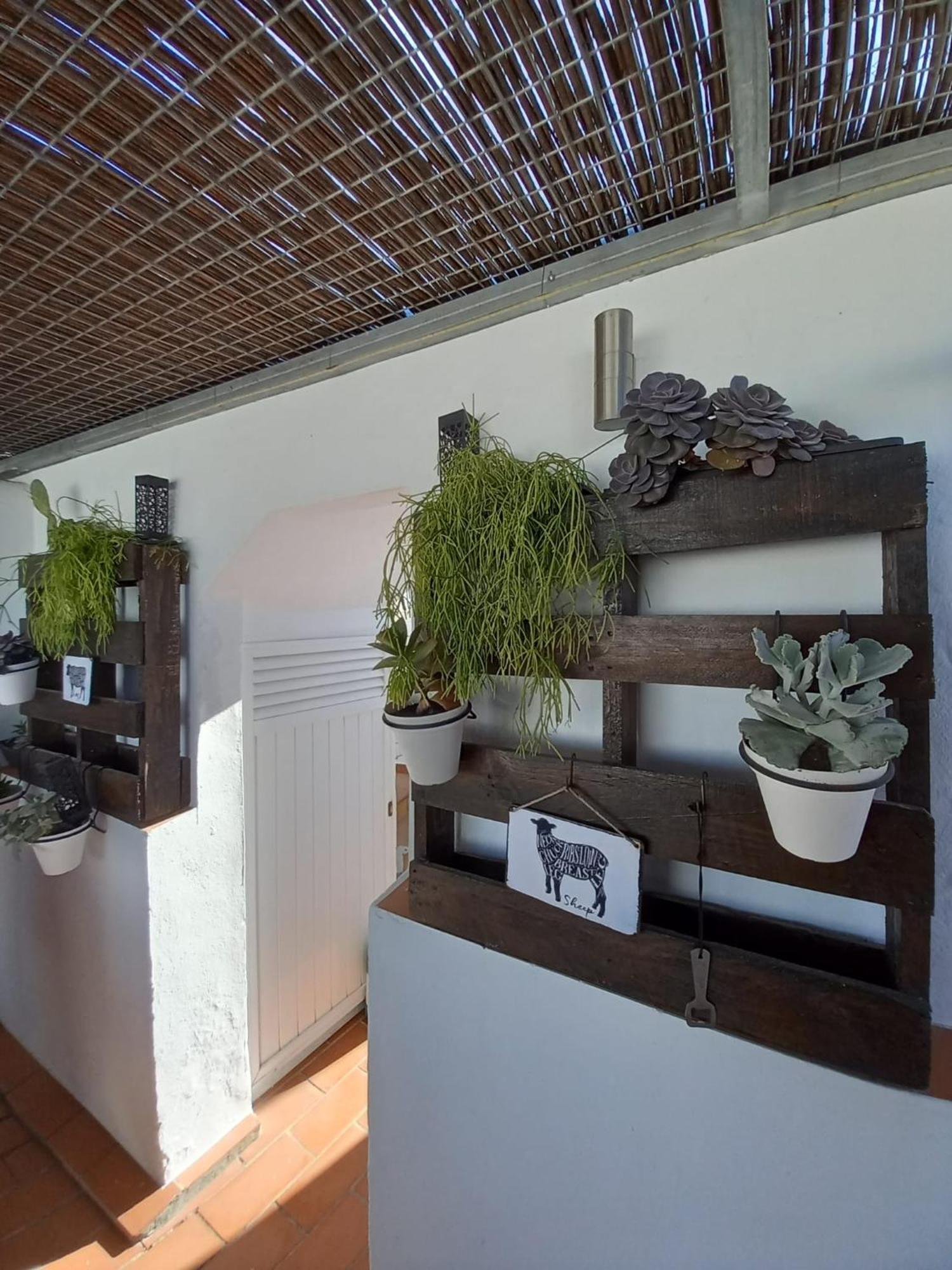Casa El Molino Villa Conil De La Frontera Dış mekan fotoğraf