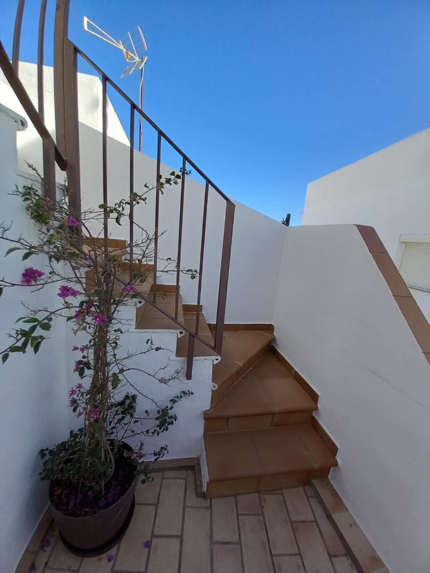 Casa El Molino Villa Conil De La Frontera Dış mekan fotoğraf